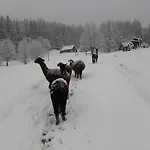 Alloggio per agriturismo Statek U Rajmunda Zemědělská Farma *