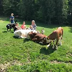 Alloggio per agriturismo Statek U Rajmunda Zemědělská Farma