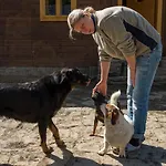 Statek U Rajmunda Zemědělská Farma Alloggio per agriturismo