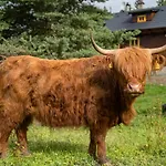 Statek U Rajmunda Zemědělská Farma Alloggio per agriturismo Velké Karlovice