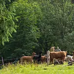 Statek U Rajmunda Zemědělská Farma *