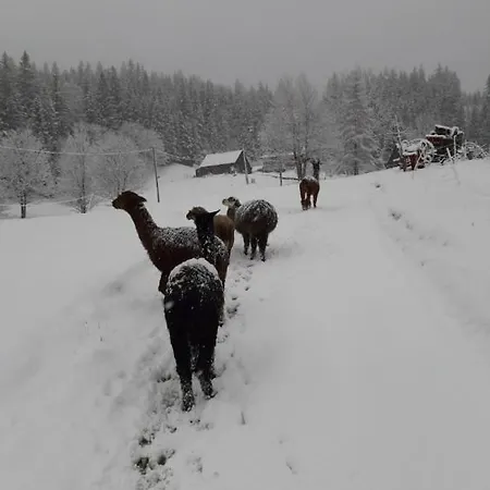 Bauernhof Statek U Rajmunda Zemedelska Farma *