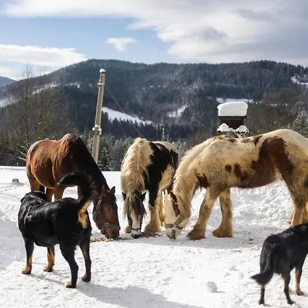 Alloggio per agriturismo Statek U Rajmunda Zemedelska Farma Velké Karlovice