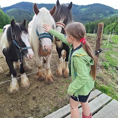 Alloggio per agriturismo Statek U Rajmunda Zemedelska Farma Velké Karlovice