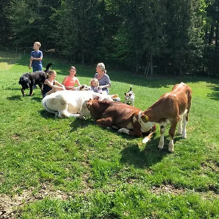 Lantgård Statek U Rajmunda Zemedelska Farma