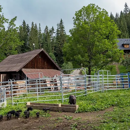 Lantgård Statek U Rajmunda Zemedelska Farma Velké Karlovice