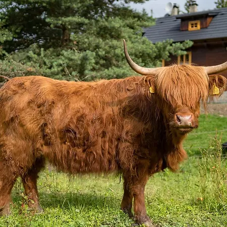 Statek U Rajmunda Zemedelska Farma Lantgård Velké Karlovice