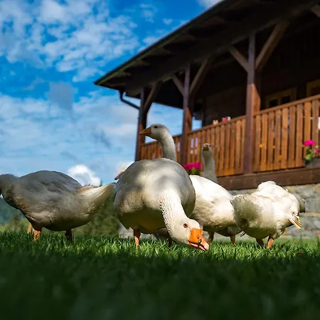 Bauernhof Statek U Rajmunda Zemedelska Farma Velké Karlovice