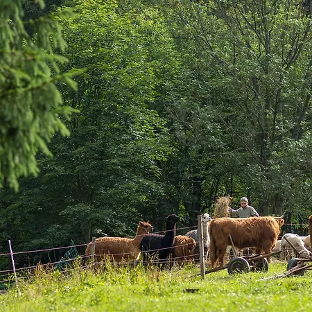Statek U Rajmunda Zemedelska Farma *