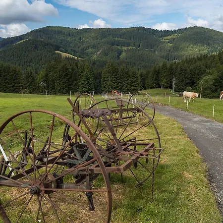 Statek U Rajmunda Zemedelska Farma Bauernhof