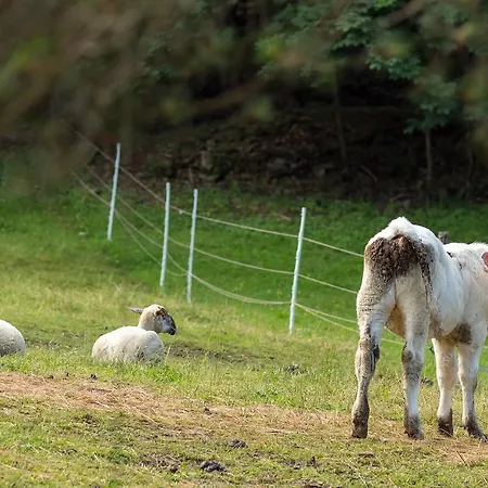Lantgård Statek U Rajmunda Zemedelska Farma Velké Karlovice