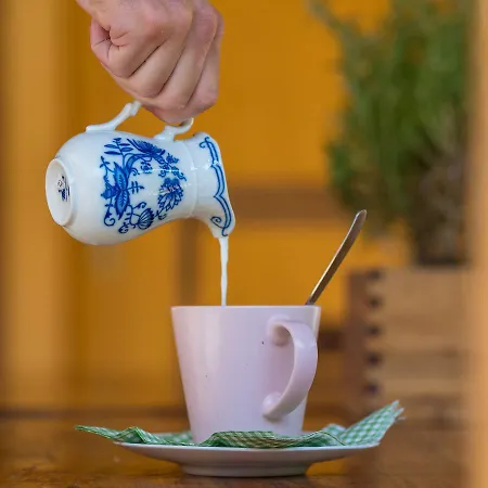 Statek U Rajmunda Zemedelska Farma Lantgård Velké Karlovice