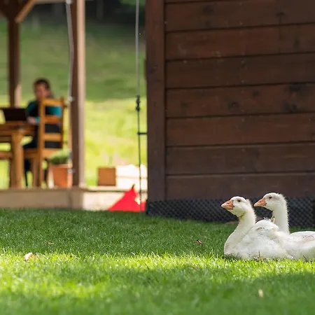 Statek U Rajmunda Zemedelska Farma Alloggio per agriturismo *
