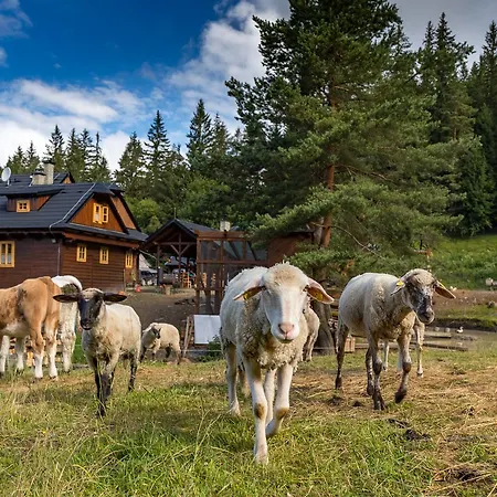Statek U Rajmunda Zemedelska Farma * Velké Karlovice