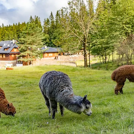 Statek U Rajmunda Zemedelska Farma Velké Karlovice