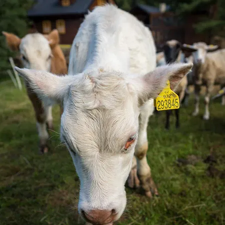 Statek U Rajmunda Zemedelska Farma Lantgård *