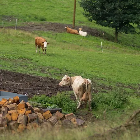 Statek U Rajmunda Zemedelska Farma Çiftlik konaklama