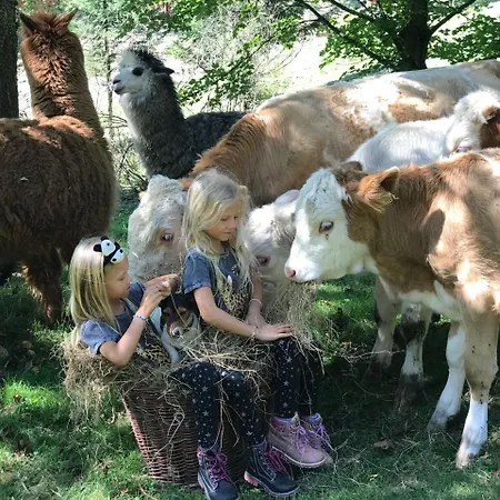 Statek U Rajmunda Zemedelska Farma Lantgård Velké Karlovice