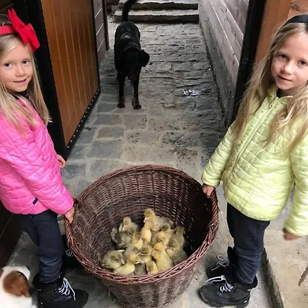 Çiftlik konaklama Statek U Rajmunda Zemedelska Farma Velké Karlovice