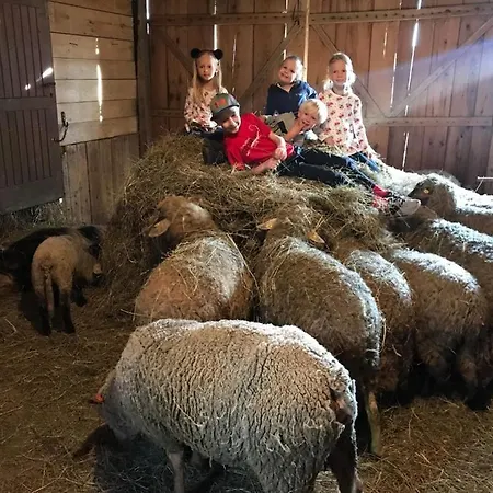 Statek U Rajmunda Zemedelska Farma Lantgård Velké Karlovice