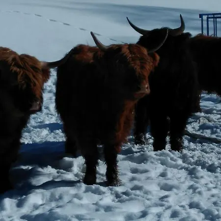Statek U Rajmunda Zemedelska Farma Feriegård *