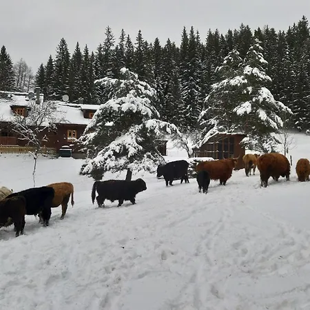 Statek U Rajmunda Zemedelska Farma Lantgård Velké Karlovice
