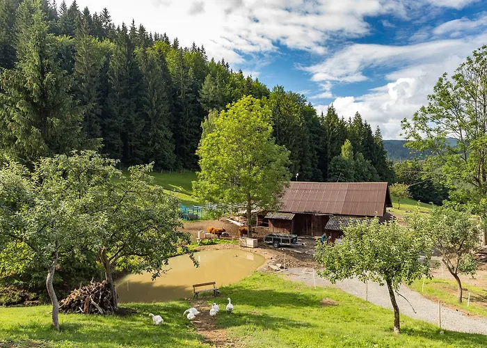 בית חווה Statek U Rajmunda Zemedelska Farma Velké Karlovice