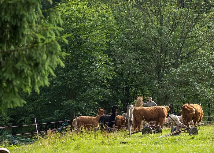 Statek U Rajmunda Zemedelska Farma *