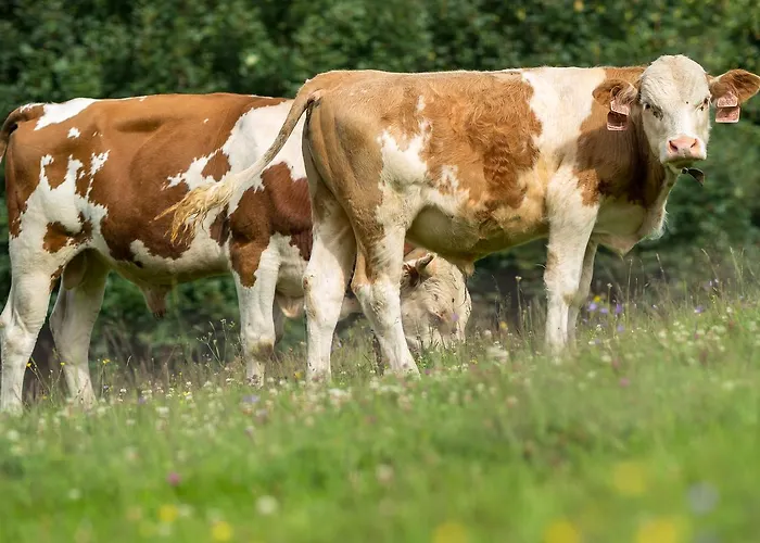 Statek U Rajmunda Zemedelska Farma * Velké Karlovice