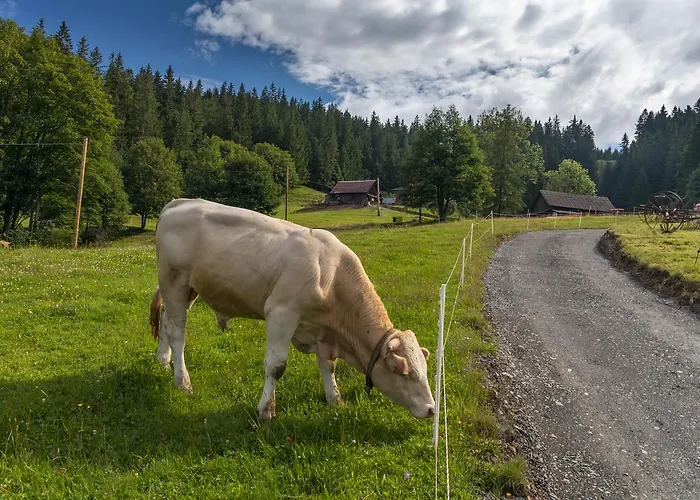 Statek U Rajmunda Zemedelska Farma Velké Karlovice