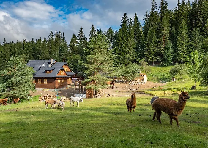 Statek U Rajmunda Zemedelska Farma