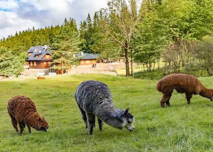 Statek U Rajmunda Zemedelska Farma Velké Karlovice