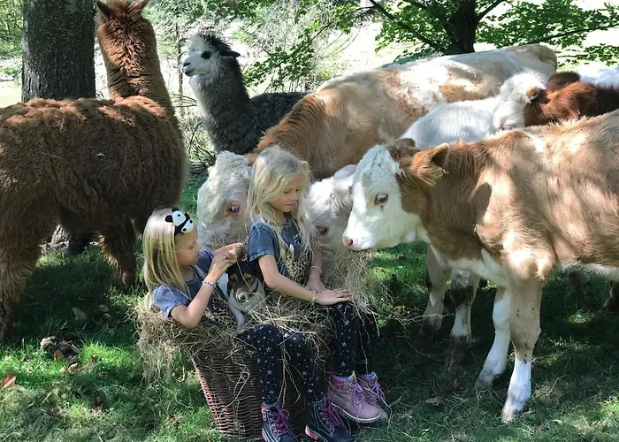 Statek U Rajmunda Zemedelska Farma בית חווה Velké Karlovice